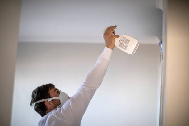 Best Mold Remediation  in Linden, AZ